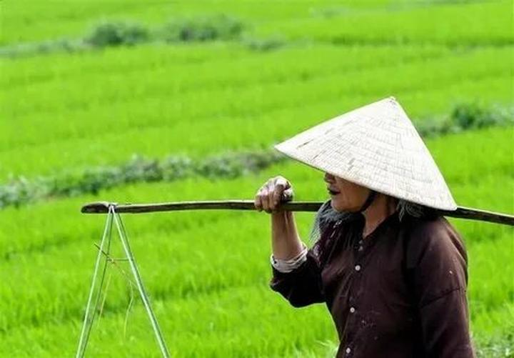 Từ đam mê thiết kế đến triệu view: Chinh phục video ngắn cùng Hotspot Matrix