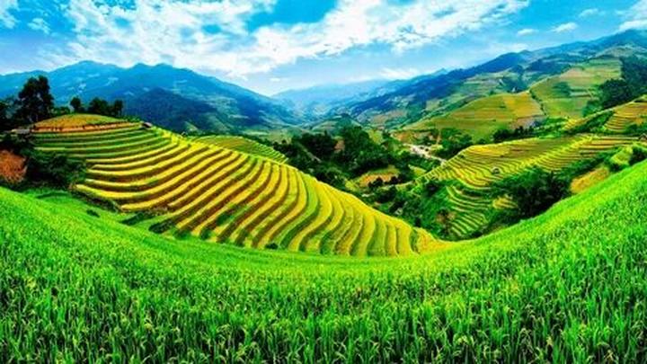 Xu hướng Quá khứ từng bị chèn ép của: Hotspot Matrix tiết lộ bí quyết video viral
