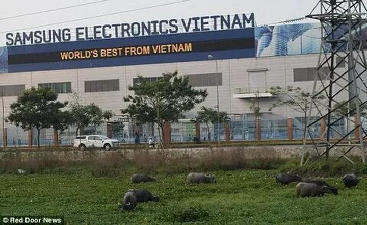 Hotspot Matrix: Biến Phim Trung Quốc chiếu 7 năm thành cơ hội marketing đột phá